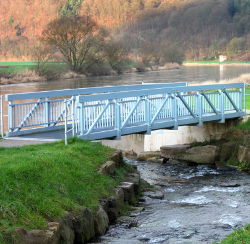 Gänseblümchen (Foto: Karsten Borchert)